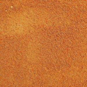 Organic Coconut Palm Sugar (1 lb)