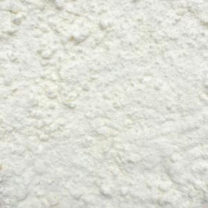 Organic Coconut Milk Powder (1 lb)