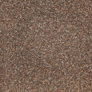 Organic Chia Seeds (5 lb)