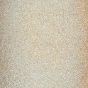 Organic Maple Sugar (1 lb)