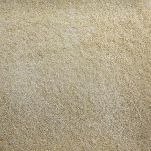 Organic Sugar, Golden Cane juice Evaporated (10 lb)