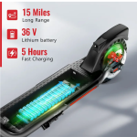 300W Folding Electric Scooter