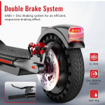 300W Folding Electric Scooter