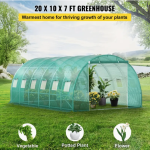 20x10x7 Ft Large Walk-in Greenhouse