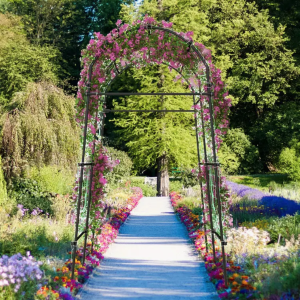 7.5FT Garden Arch Trellis