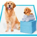 22" x 22" 100 Pcs Premium Disposable Training Pads, Pee Pads