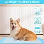 22" x 22" 100 Pcs Premium Disposable Training Pads, Pee Pads