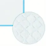 22" x 22" 100 Pcs Premium Disposable Training Pads, Pee Pads