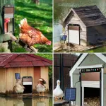 Automatic Solar Powered Chicken Coop Door Opener