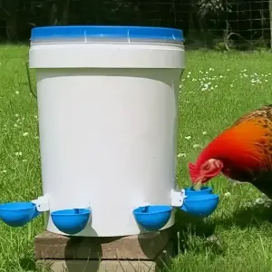 5PCS Easy-Clean Automatic Chicken Waterer Cups