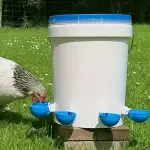 5PCS Easy-Clean Automatic Chicken Waterer Cups