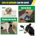 Large Automatic Water Bowl for Dogs and Livestock - 304 Stainless Steel, Float Valve